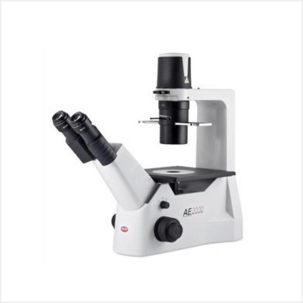 MICROSCOPIO MOTIC SERIE BA 210 - CMLAB